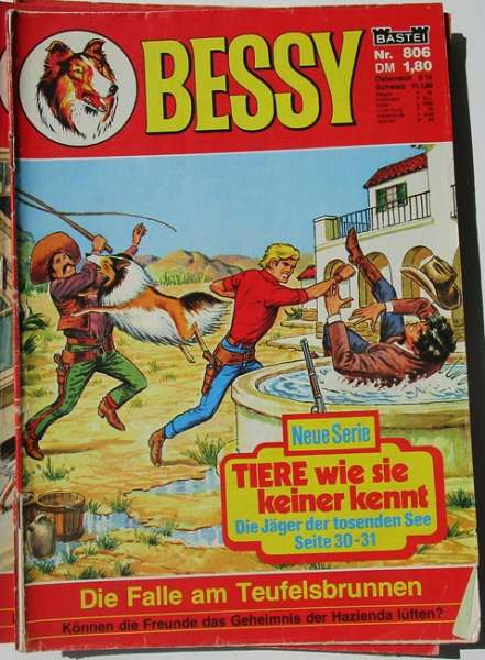 Bessy Band Nr.806
