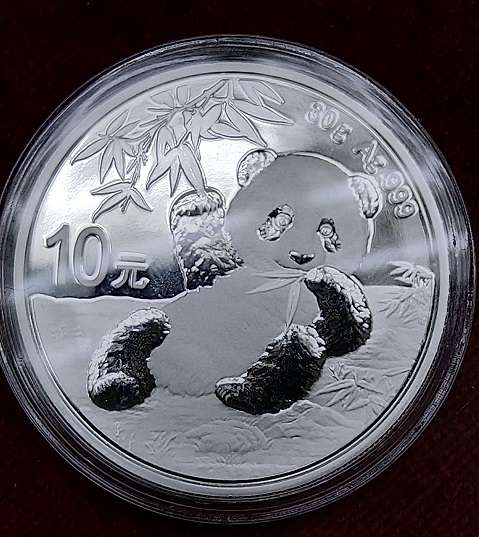 China 10 Yuan 2020 Panda 30g Silber