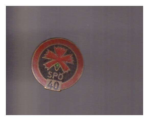 SPÖ 40 Jahre Mitglied Rote Nelke Souval Wien