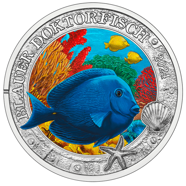 3 Euro 2024 Blauer Doktorfisch Serie Leuchtende Meereswelten 7