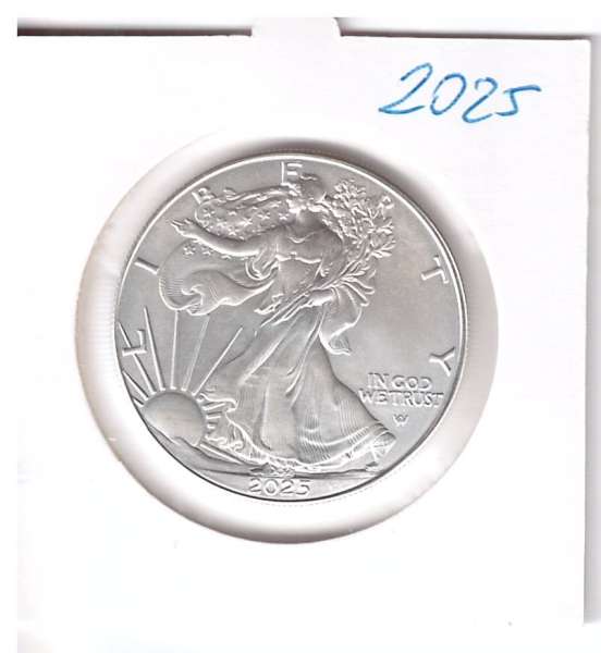 1 Dollar 2024 Silber Eagle Unze