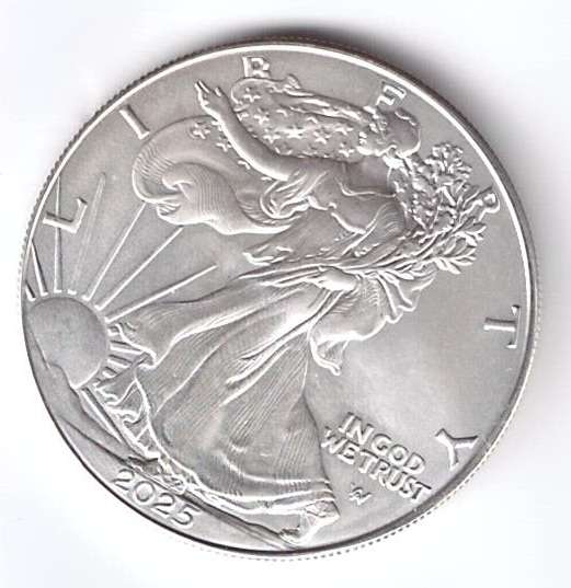 1 Dollar 2025 Silber Eagle Unze