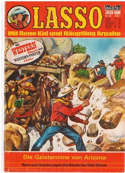 Lasso Nr.313