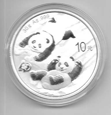 China 10 Yuan 2022 Panda 30g Silber