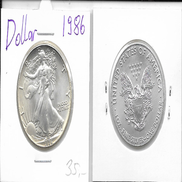 1 Dollar Silber Eagle Unze 1986