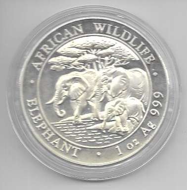 100 Shillings 2013 Somali Republic Silbermünze 1 OZ Unze Silber Anlagemünze