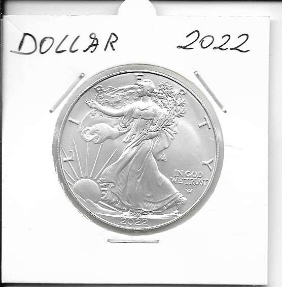 1 Dollar 2022 Silber Eagle Unze