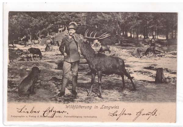 Wildfütterung in Langwies ca.1900