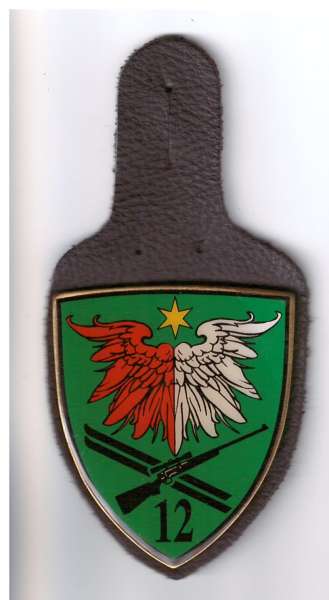 ÖBH Truppenkörperabzeichen Kärnten Jägerregiment 12 K-22