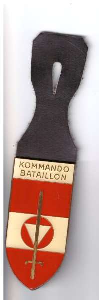 Kommando Bataillon W-1