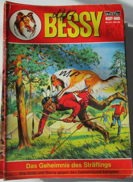 Bessy Band Nr.247