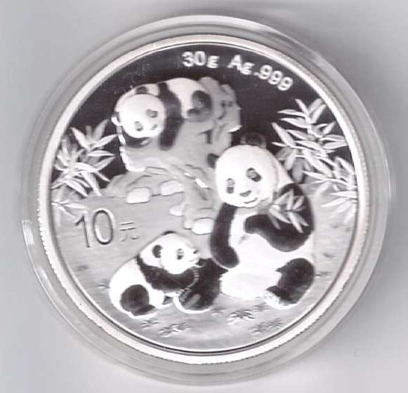 China 10 Yuan 2025 Panda 30g Silber